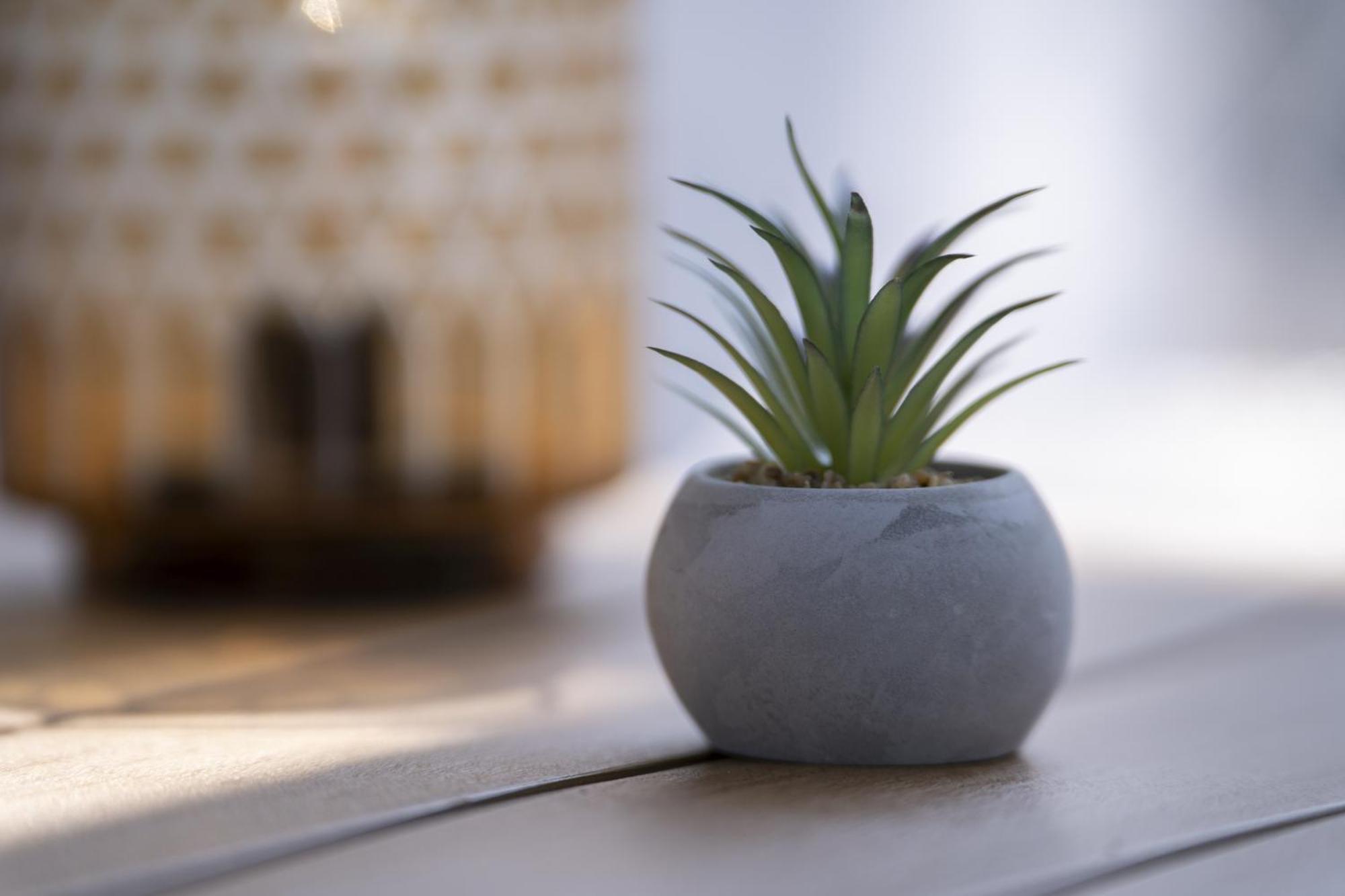 Frketic Selo Kuca Za Odmor Casa Huertaヴィラ エクステリア 写真