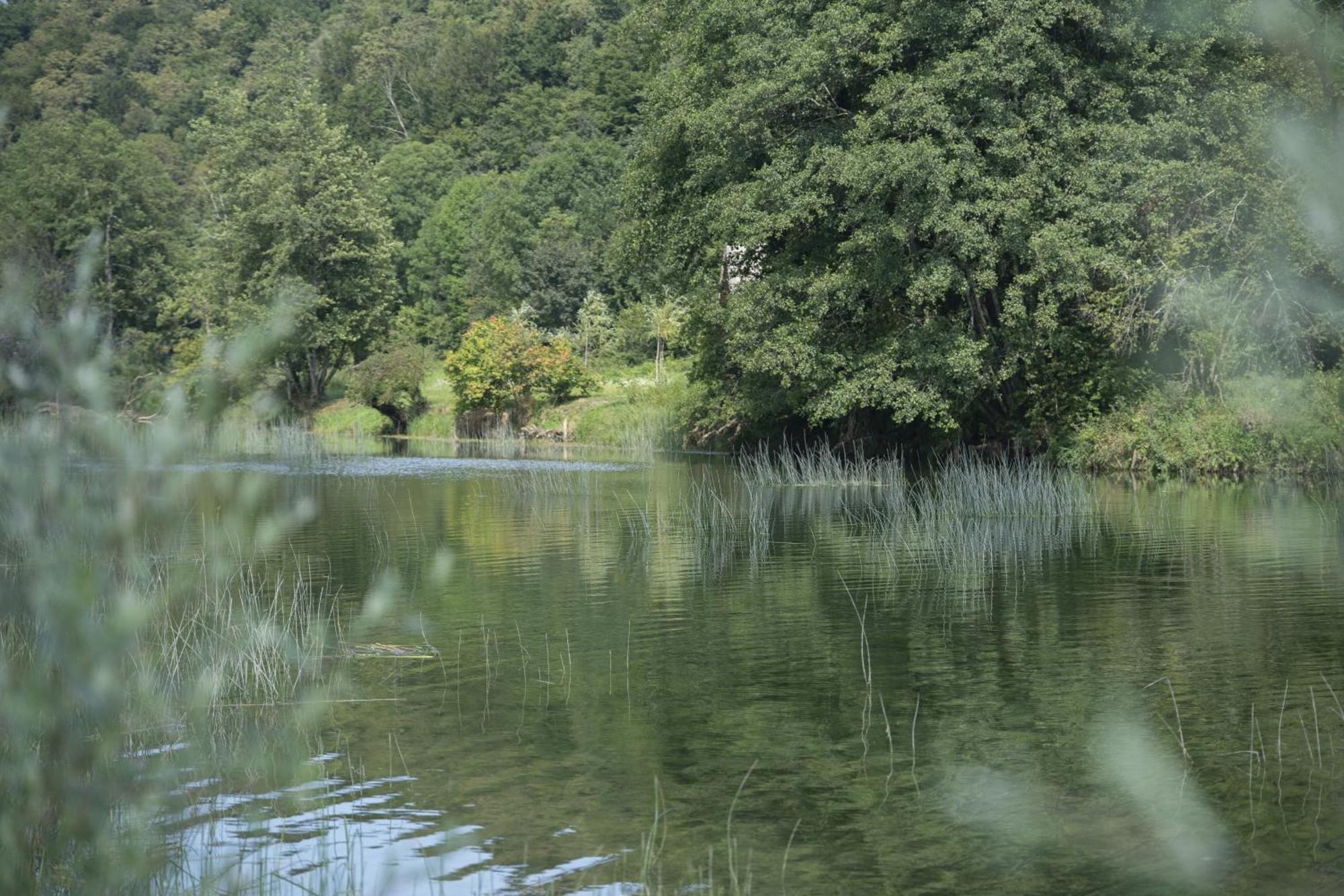 Frketic Selo Kuca Za Odmor Casa Huertaヴィラ エクステリア 写真